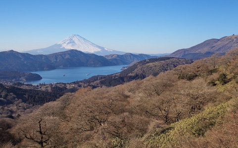 山富士在冬天