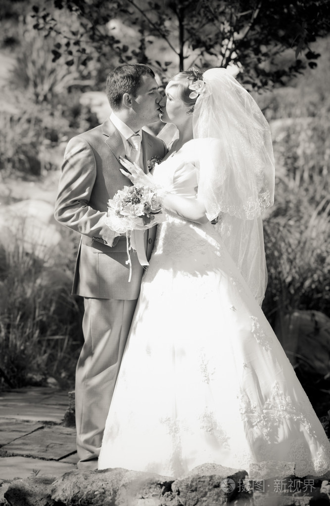 这对新婚的夫妇在公园接吻的全长画像