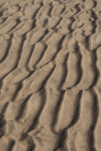 在沙子里的涟漪