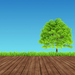 绿色和木材的背景环境照片