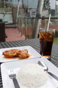 鸡肉和米饭