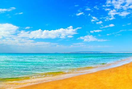 夏天的海滩的海岸