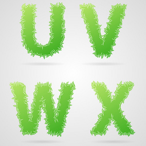 清洁绿色矢量叶字母表 u v w x