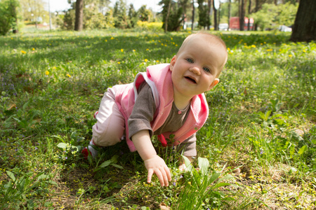 在晴朗的一天在公园的草地上玩耍的小宝贝