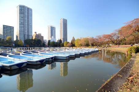 在东京上野公园里湖