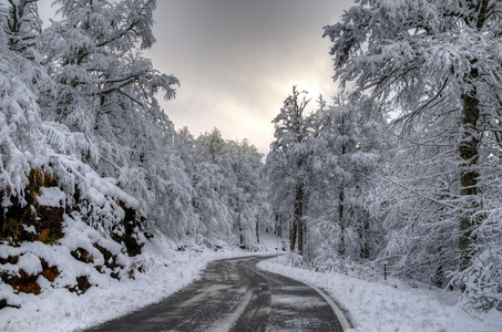 雪山 公路