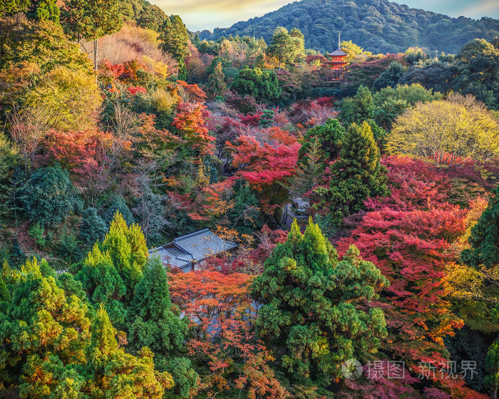 在京都的清水寺
