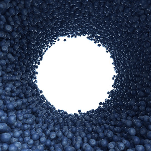 隧道的蓝莓