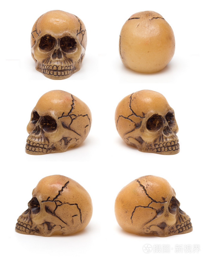 六个角度的头骨
