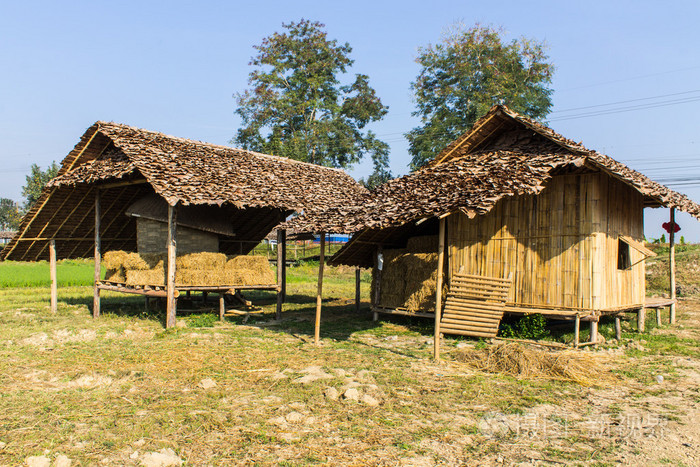 泰国农村房子图片图片