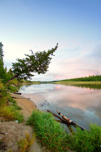 夏季的北西伯利亚河