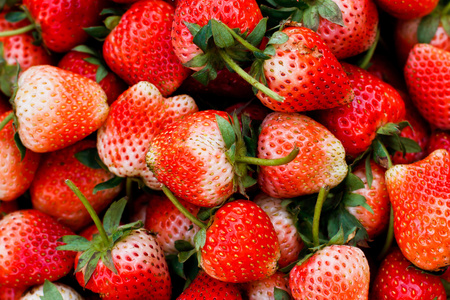 新鲜成熟完美草莓在市场
