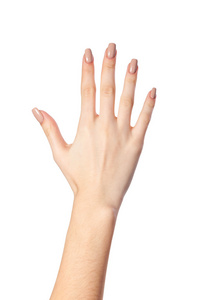 手的手势数字五照片