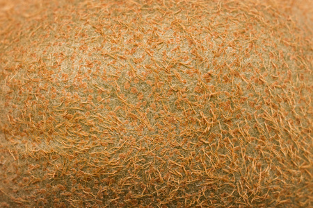 猕猴桃纹理背景纹理绿色水果猕猴桃特写猕猴桃果实纹理纹理节猕猴桃