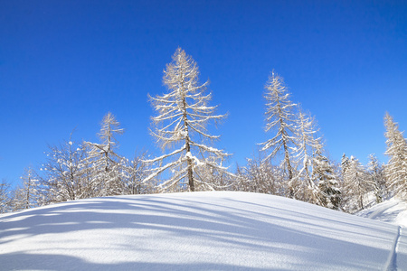 在山的雪景