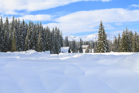 在山的雪景