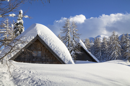 在山的雪景