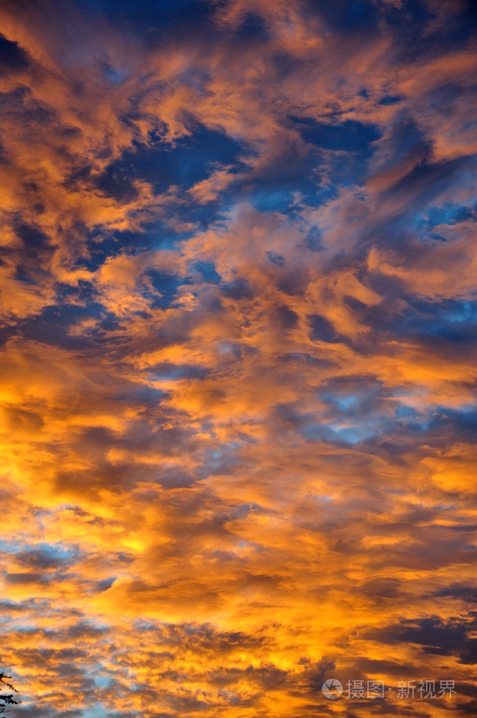 发票合同问题/美丽蓝色天空日落日出之城光暮查看作者其他作品查看更