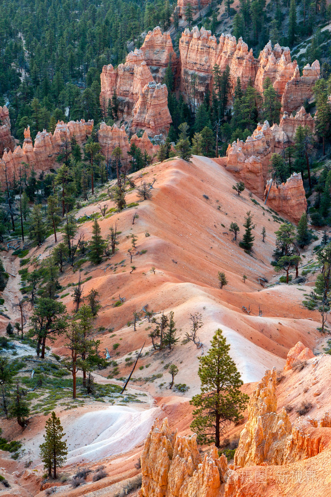 布莱斯峡谷犹他州的美国南部美丽的景色