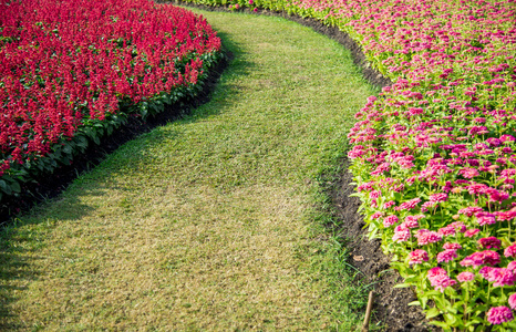 花在 garden1 的路上