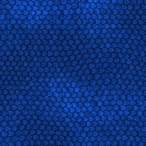 龙鳞片素材蓝色的龙鳞片的图案照片