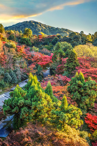 查看从京都的清水寺