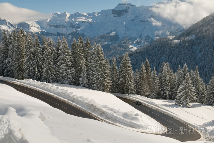 雪山森林道路