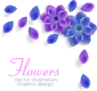 蓝色和紫色的花朵，用树叶