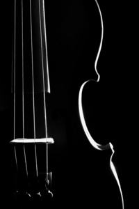 小提琴乐队乐器