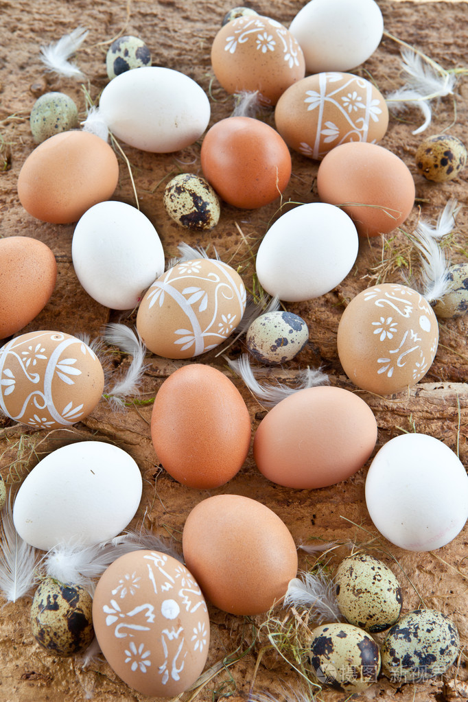 背景与各种各样的蛋照片-正版商用图片1ez0q7-摄图新视界