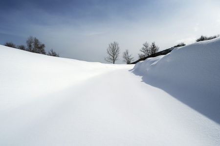 雪盖的路