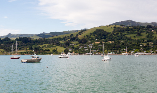 阿卡罗阿海港新西兰游艇