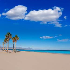 阿利坎特圣胡安海滩与棕榈树的地中海