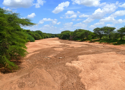 干燥的河床。自然景观。非洲肯尼亚
