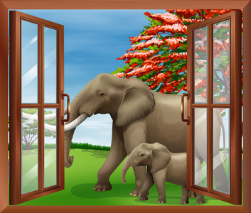 一个带有大和小的大象视图窗口