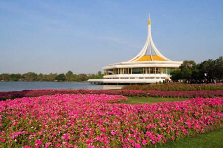 美丽的花朵和景观在 suangluang 拉玛九公园   禁止