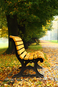 在秋天的长椅