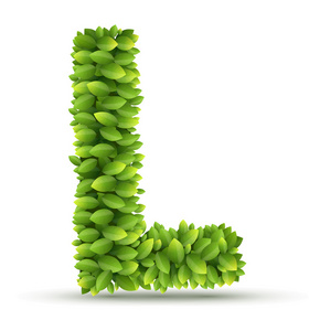 绿色的叶子矢量字母表字母 l照片