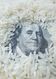 水稻籽粒和美元