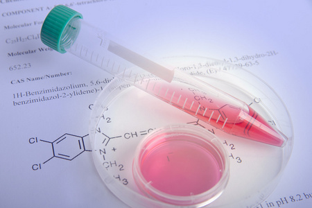 试管荧光在板材和试管进行荧光分析的细胞悬液.科学研究的塑料板照片