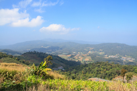 农村和山区