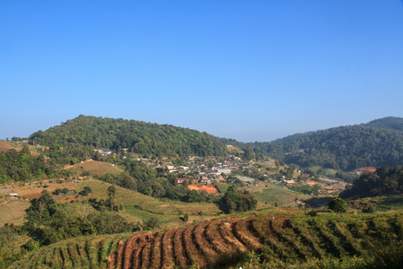 农村和山区