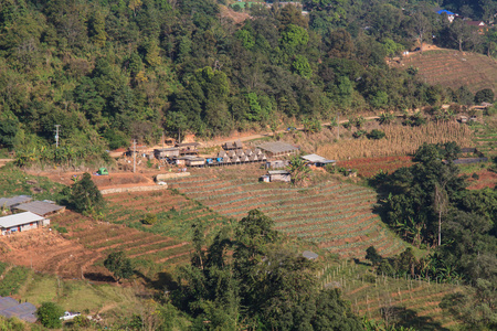 农村和山区