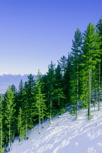 在阳光灿烂的冬天霜冻的日子里，与蓝色明确 sk 山风景
