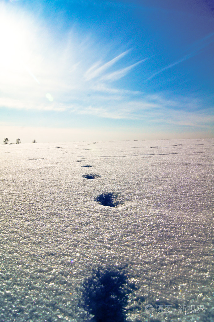 窗,通往太阳雪山上,周围树木雪中的脚印