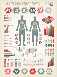 医疗信息图表元素。人体内部器官