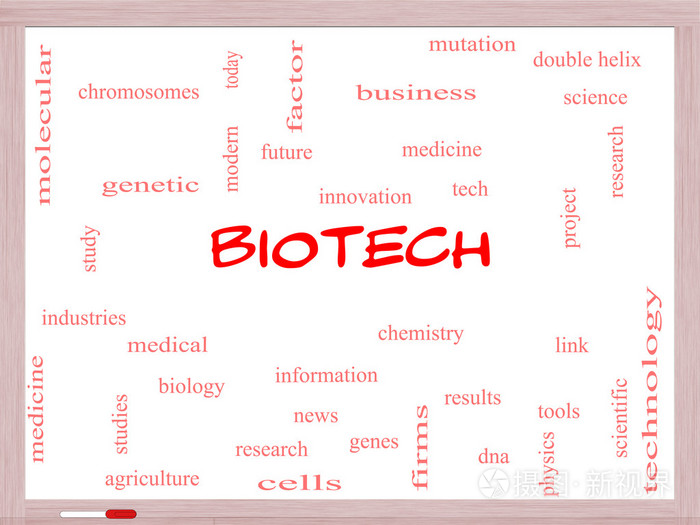 生物技术词云概念在白板上