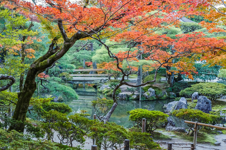 被选中的那 kaiyushiki，在京都银阁寺池塘漫步花园