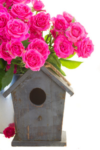 鸟笼的粉红色玫瑰花