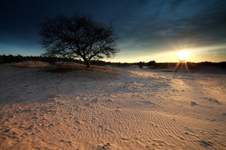 金阳光掠过沙丘